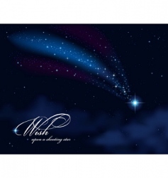 Wish upon a shooting star vector image