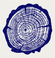 Cross section of tree stump vector image