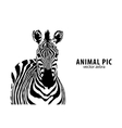 Vector zebra vector image