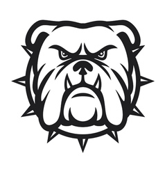 Bulldog head - angry bulldog vector image