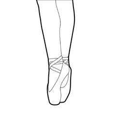 Ballet slippers vector image