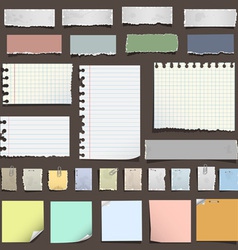 Various notes paper vector image