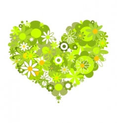 Floral heart vector image