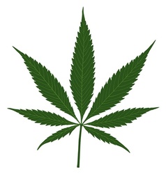 Hemp leaf vector image