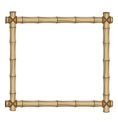 Frame bamboo vector image