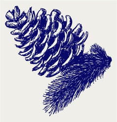 Pine strobile vector image