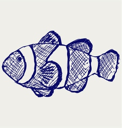 Tropical reef fish vector image