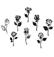 Beautiful roses silhouettes vector image