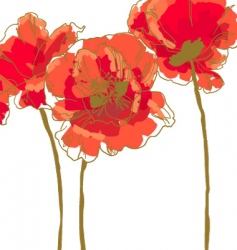 Three flower of poppy vector image