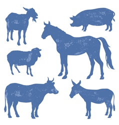 Livestock vector image
