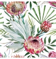 Tropical protea pattern vector image
