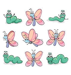 A caterpillar and a butterfly vector image