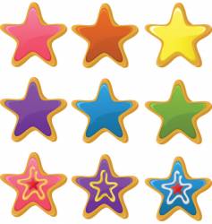 Star cookies vector image