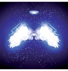 Angel nimbus and wings on black background vector image