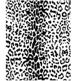 Animal skin pattern vector image