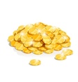 Golden coin heap vector image