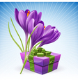 Gift and flowers vector image