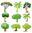 Various trees vector image