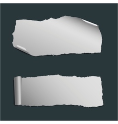 Collection of white ripped paper pieces vector image