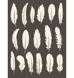 Set of feather vector image