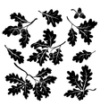 Oak branches with acorns silhouettes vector image