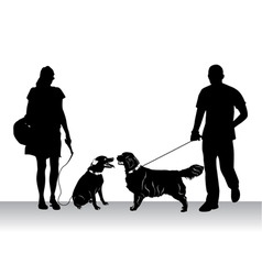 People walking dogs vector image