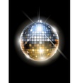 Mirror disco ball vector image