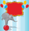 Circus elephant vector image
