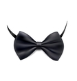 Bow Tie vector image