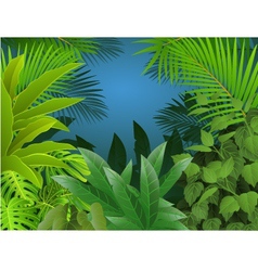 Tropical forest background vector image