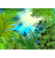Tropical forest background vector image
