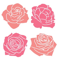 Roses vector image