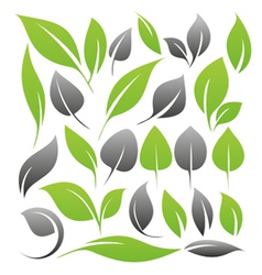 Leaf icon set vector image