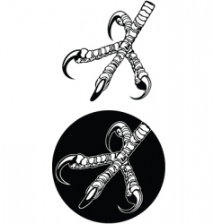 Claw vector image