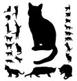 Cat silhouette collection vector image