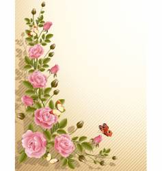 Roses vector image