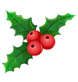 Mistletoe vector image