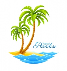 Tropical palm vector image