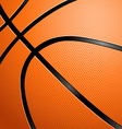 Closeup of a Basketball vector image