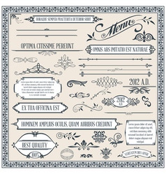 Calligraphic design elements vector image