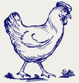 Chicken vector image