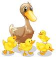 The brown duck and her four yellow ducklings vector image