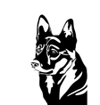 Dog vector image