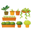 Potted plants vector image