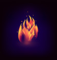 Realistic fire flame vector image
