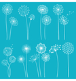 Set of dandelions vector image