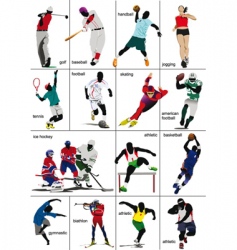 Sports vector image