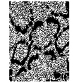 Animal skin pattern Animal skin pattern vector image