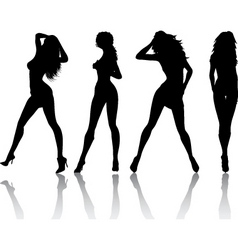 Sexy females vector image