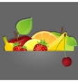 Set of fruits vector image